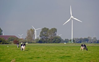 风力发电属于什么单位管理