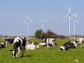 风力发电的污染_风力发电的污染问题