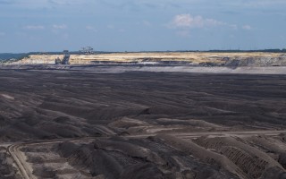 煤是怎么被发现的_煤怎么来的