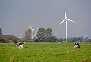 风力发电机效率_raft风力发电机效率-第1张图片-创互客网