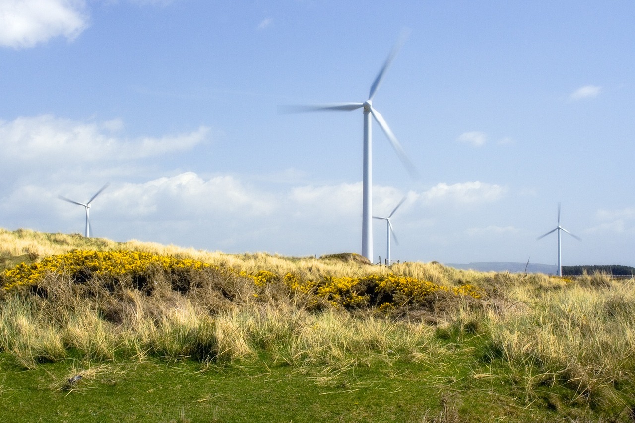 节能风电的氢能源项目_节能风电的氢能源项目包括-第1张图片-创互客网